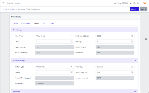 YouDoProjects project budget showing financial and time budget settings